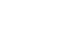 The Spinal Solutions website header logo